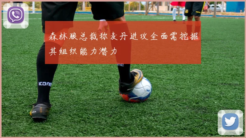 森林狼总裁称麦丹进攻全面需挖掘其组织能力潜力