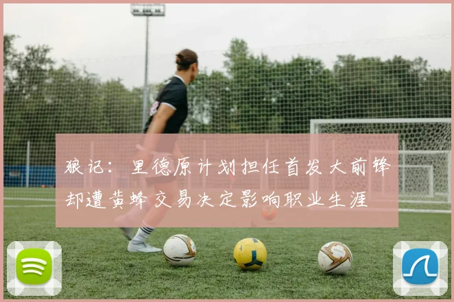 狼记：里德原计划担任首发大前锋却遭黄蜂交易决定影响职业生涯